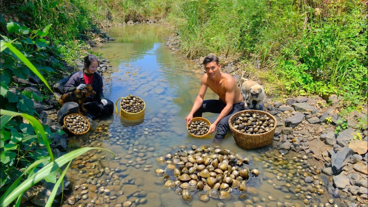 Harvest Baby Clams From A Natural Stream – Cook Baby Clam Noodle Soup And Spicy Stir-Fried Clams.