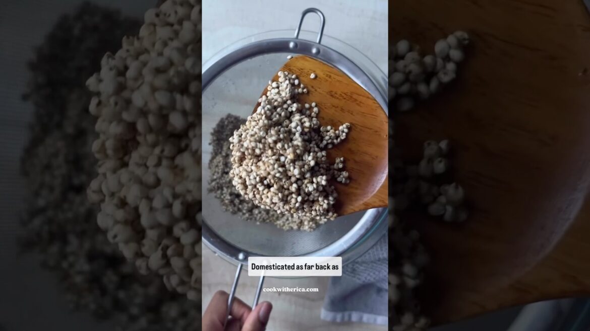 Sorghum 5000B.C. ancient grain #winkofaneye #recipe #food #sorghum #blackhistory #glutenfree