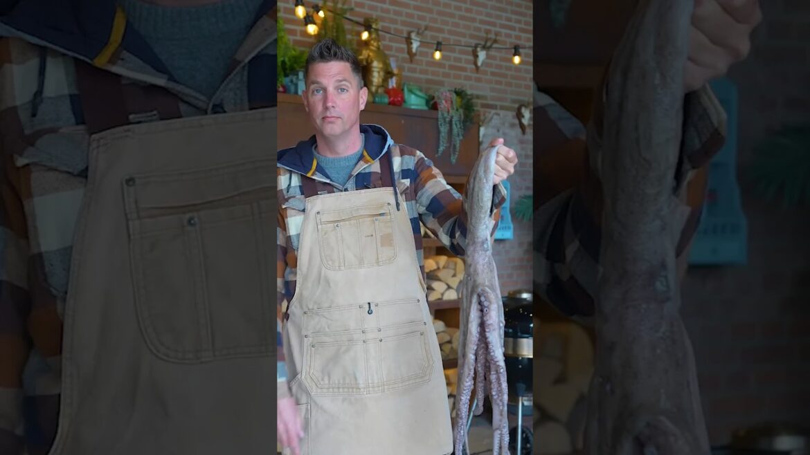 Octopus that actually taste good