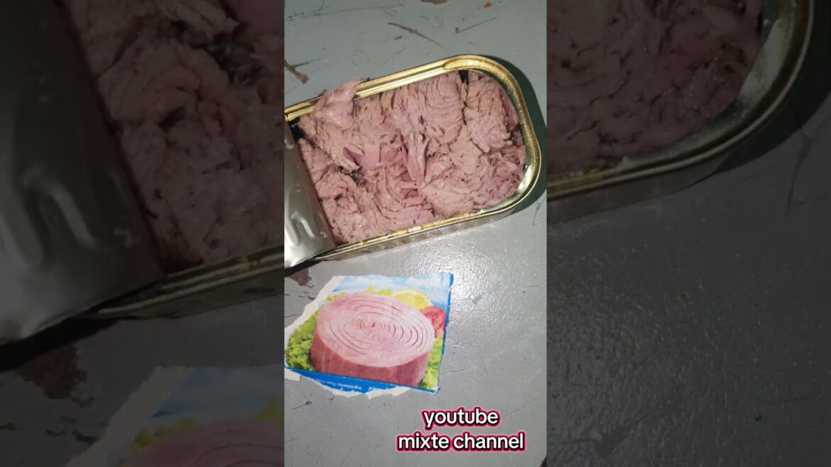 thon maroc طون المغرب كامل thon maroc طون المغرب كامل