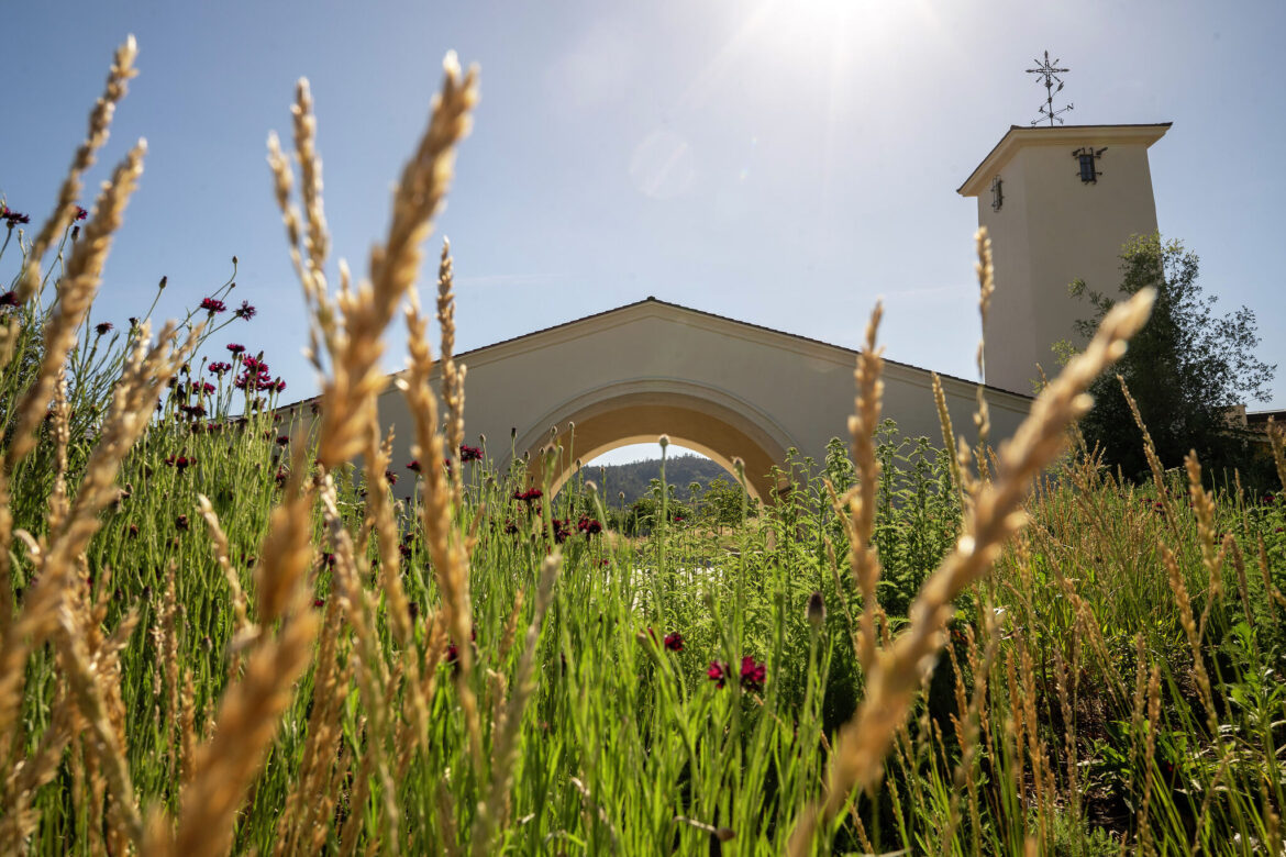 Inside the highly anticipated Robert Mondavi winery reopening