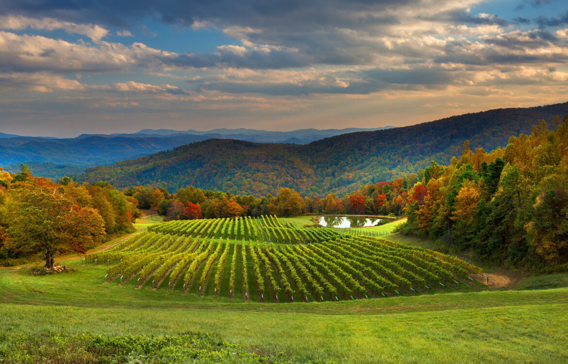 12 best wine vacations in the U.S. for a crush-worthy vacation