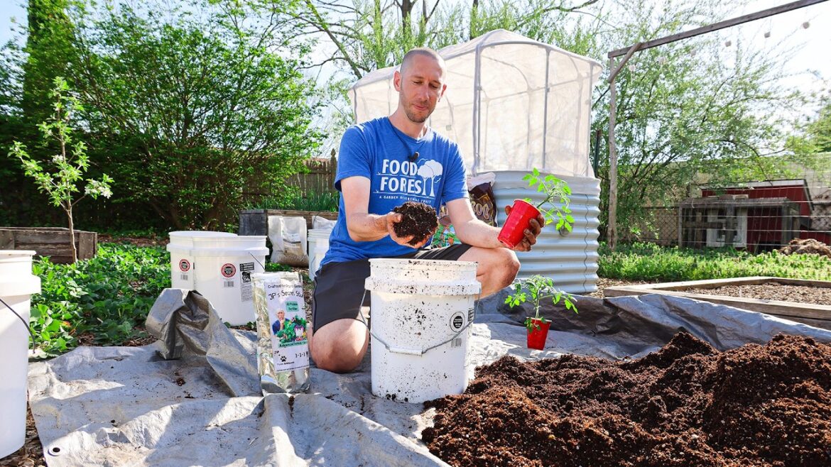 How to Grow a CONTAINER Garden, CHEAP and EASY Patio Gardening