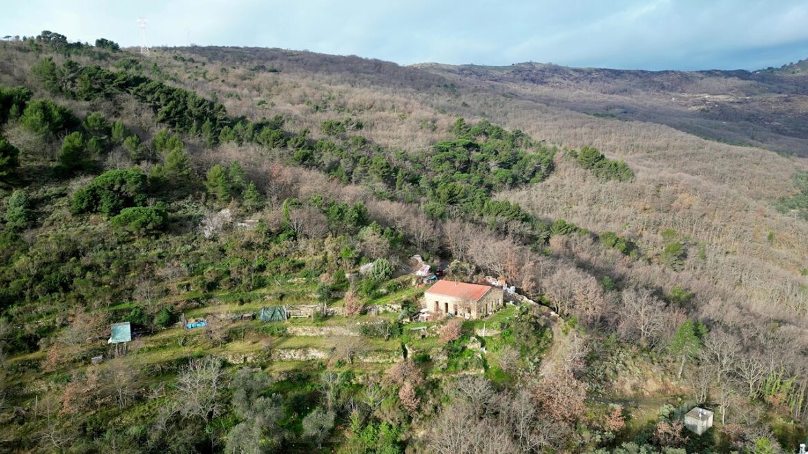 #120 My Vegetable Garden on a Mountain | Renovating my Abandoned Stone House in Italy