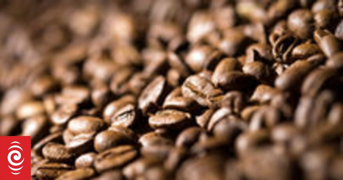 Could Northland be NZ's coffee-growing capital?
