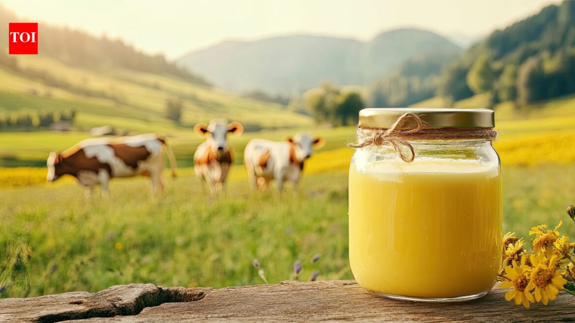 Ghee vs olive oil for Indians: Which is healthier and how to use both for better daily nutrition