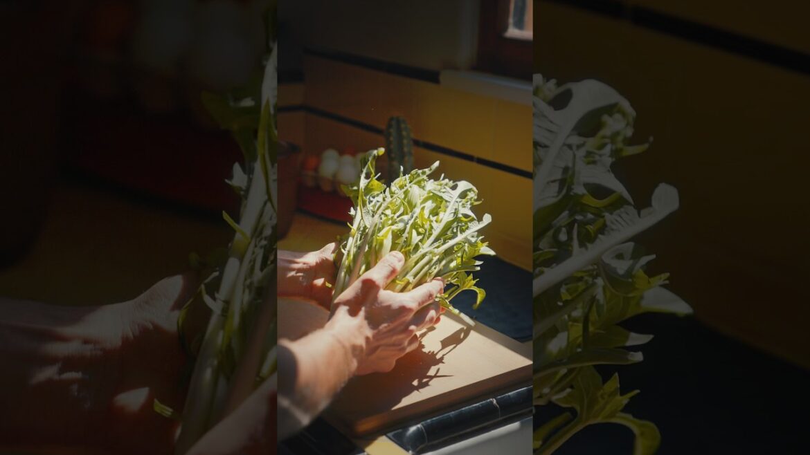 Fried Puntarelle from Peter Gilmore’s book From the Earth | Cook the book Ep 7