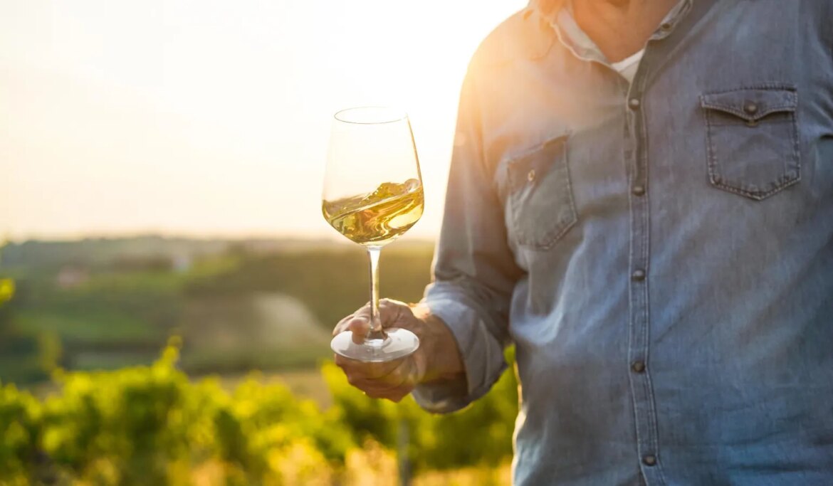 These Lesser-Known Rhône Whites Are Some Of The Best Food Wines In France