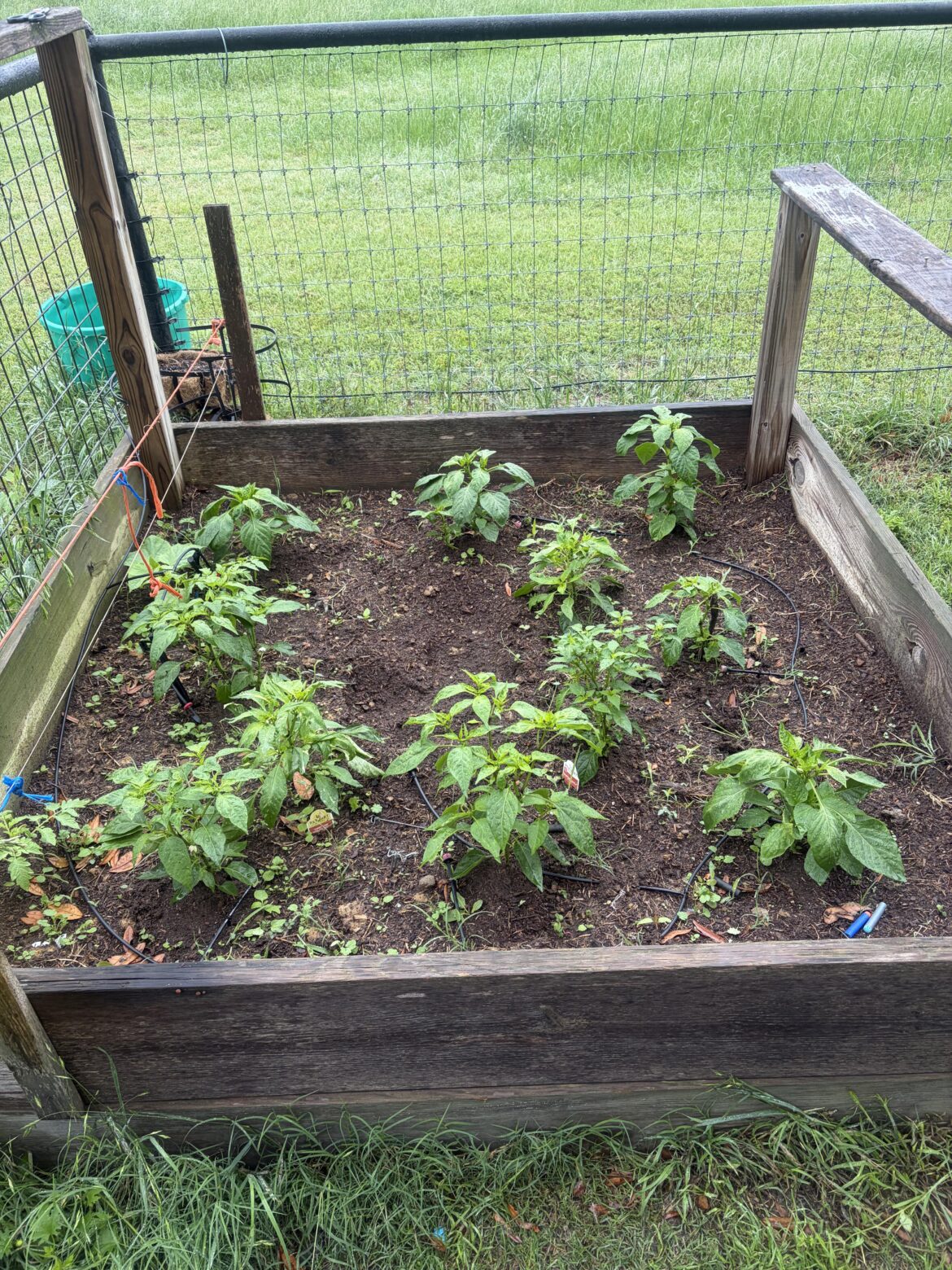 Raised bed spacing