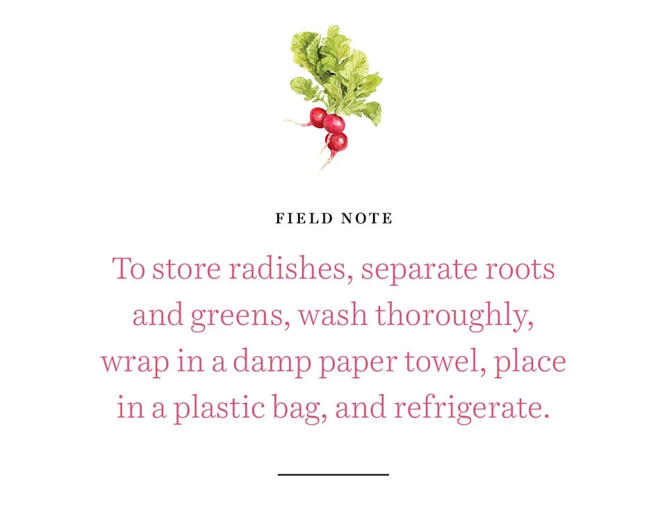 radishes field note