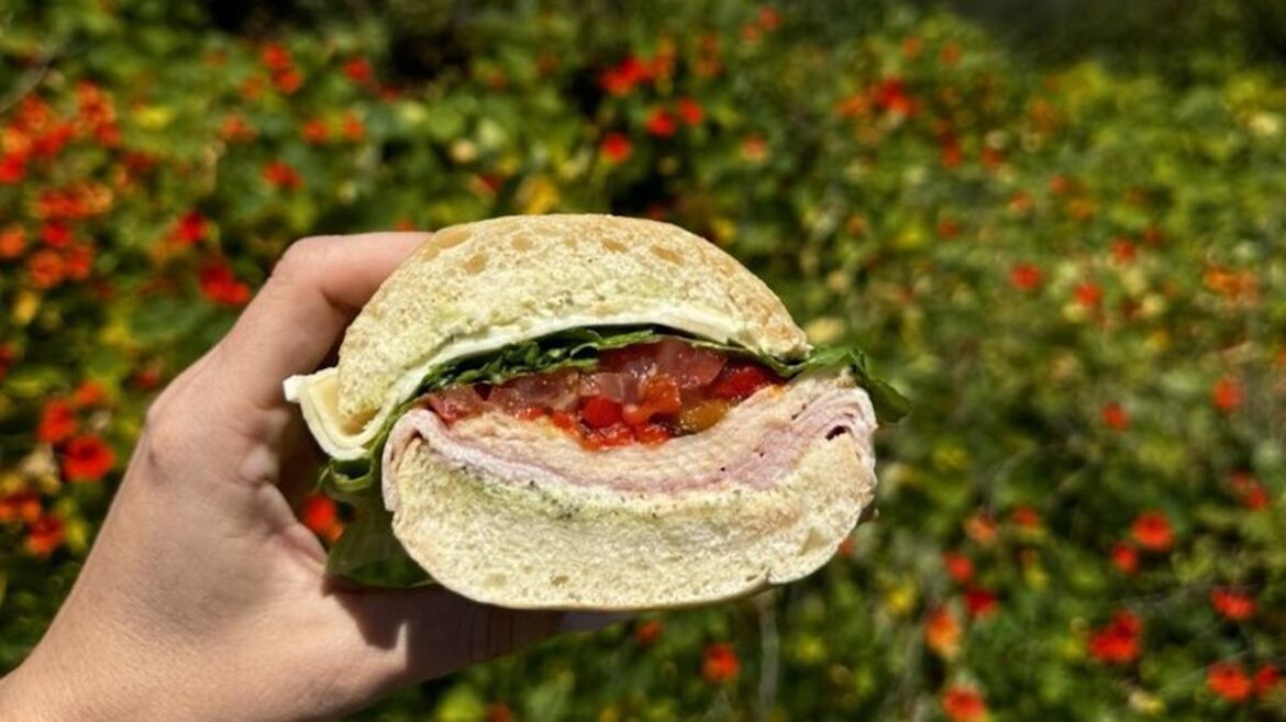 Downtown Santa Cruz’s Authentic Italian Deli Is Famous For Tiramisu And Handcrafted Sandwiches Islands