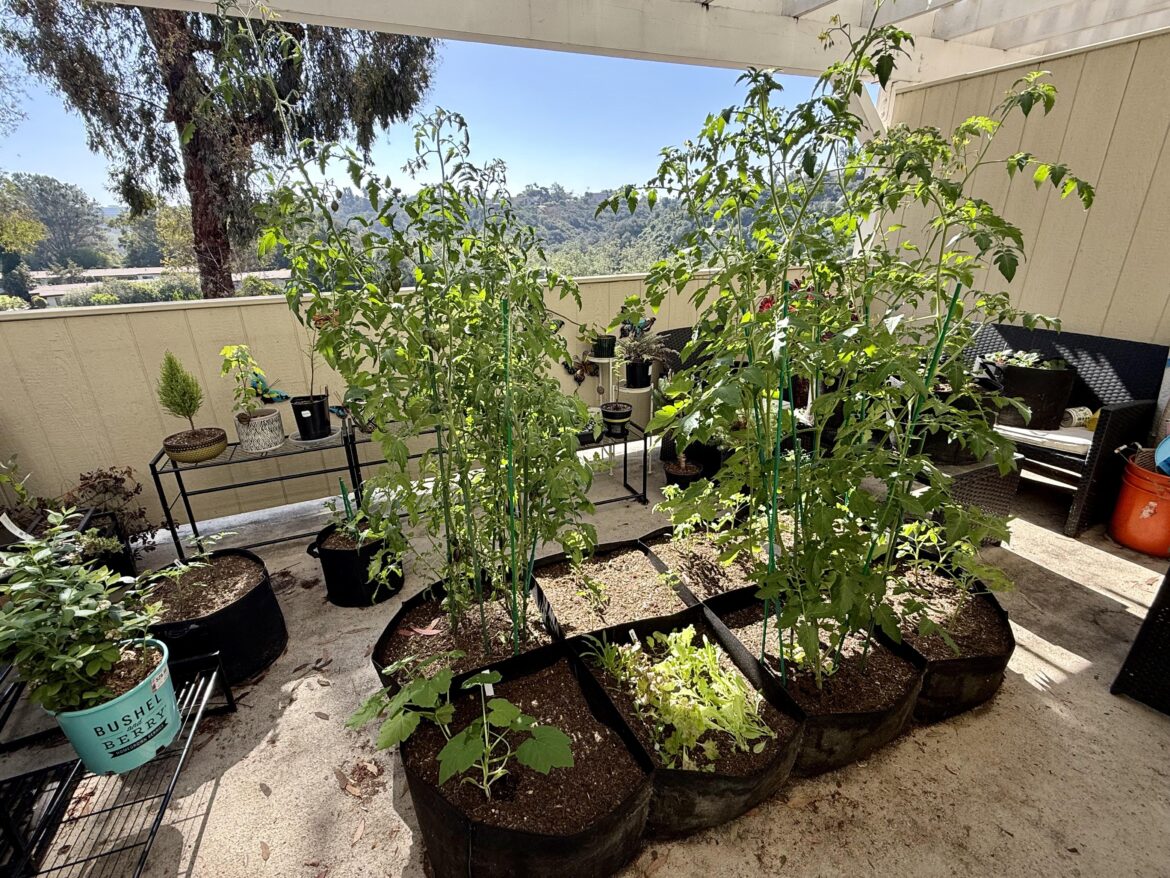 Deck Garden Deck Garden