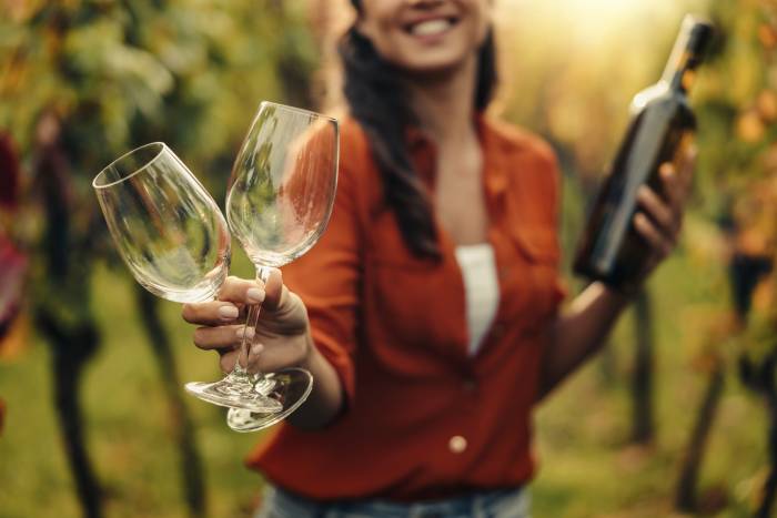 Italian Wine Tourism Set to Attract 18 Million Visitors in 2026 as Demand for Authentic Experiences Surges