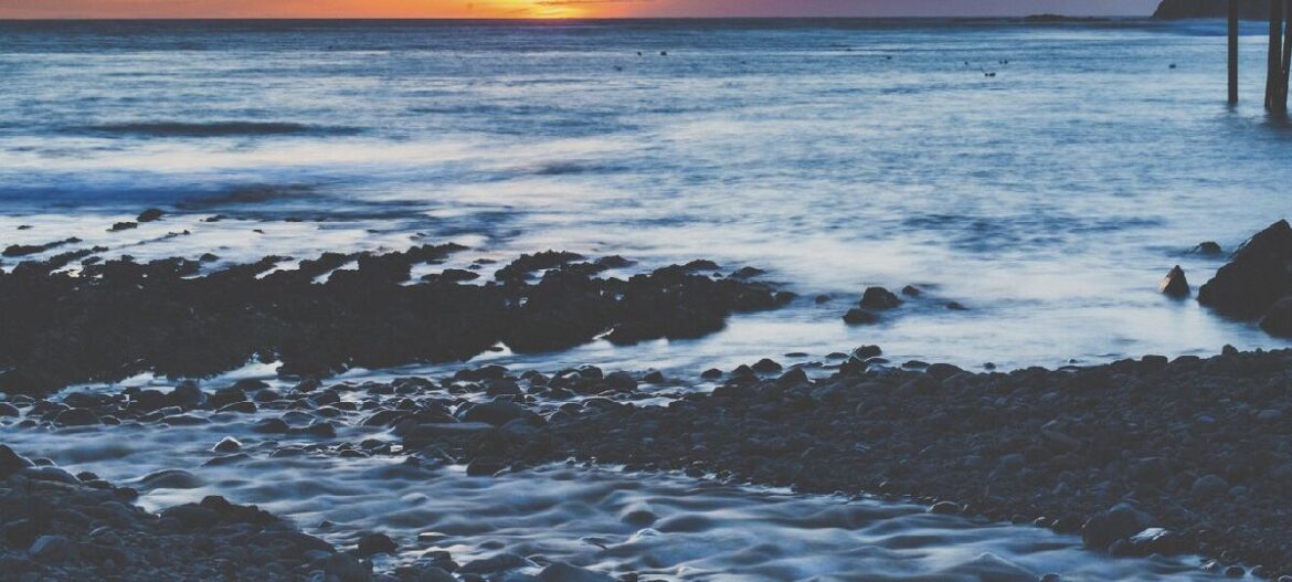 California Wine Country's Quirky Coast, by Travel Writers