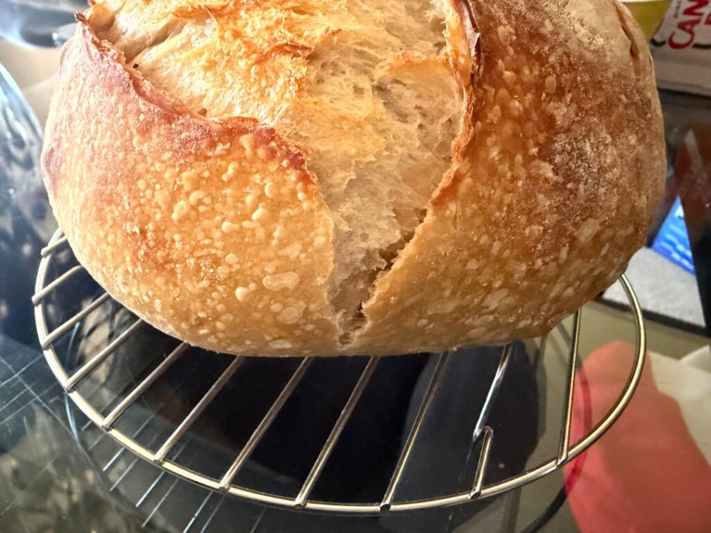 Why do my loaves rip?