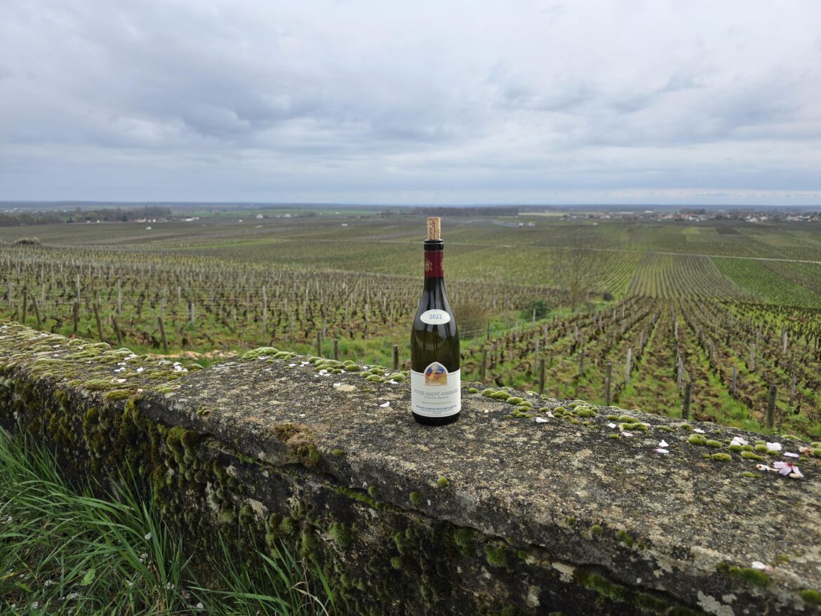 Mugneret-Gibourg Nuits-Saint-Georges 1er Cru Les Chaignots 2022