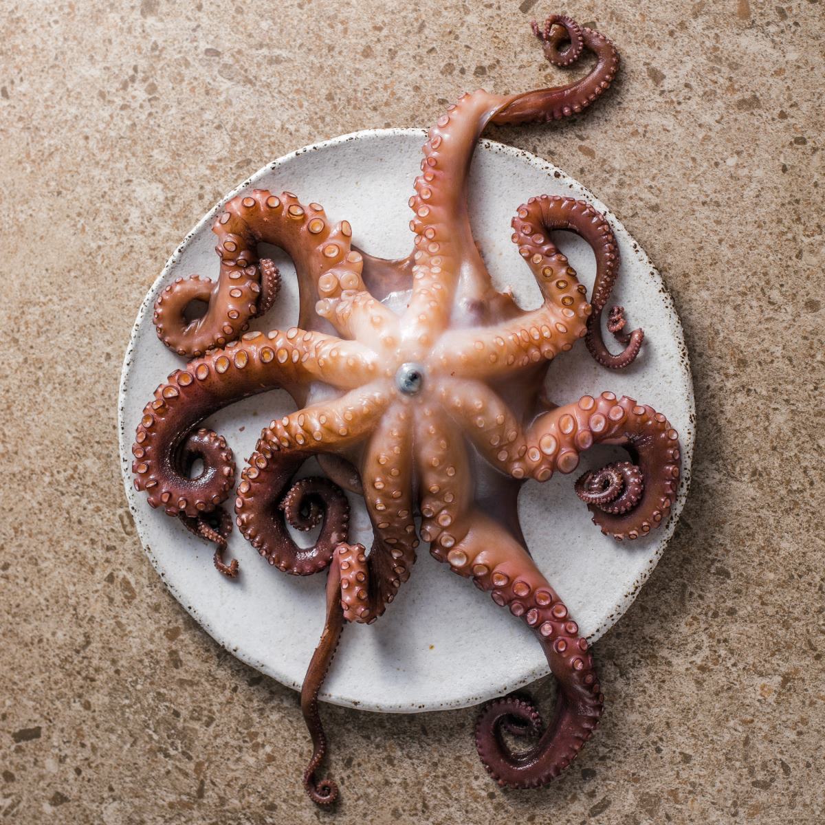 A staple ingredient, octopus shows how the sea continues to set the pace — and the flavor — of Rio’s dining scene. © gorchittza2012/iStock