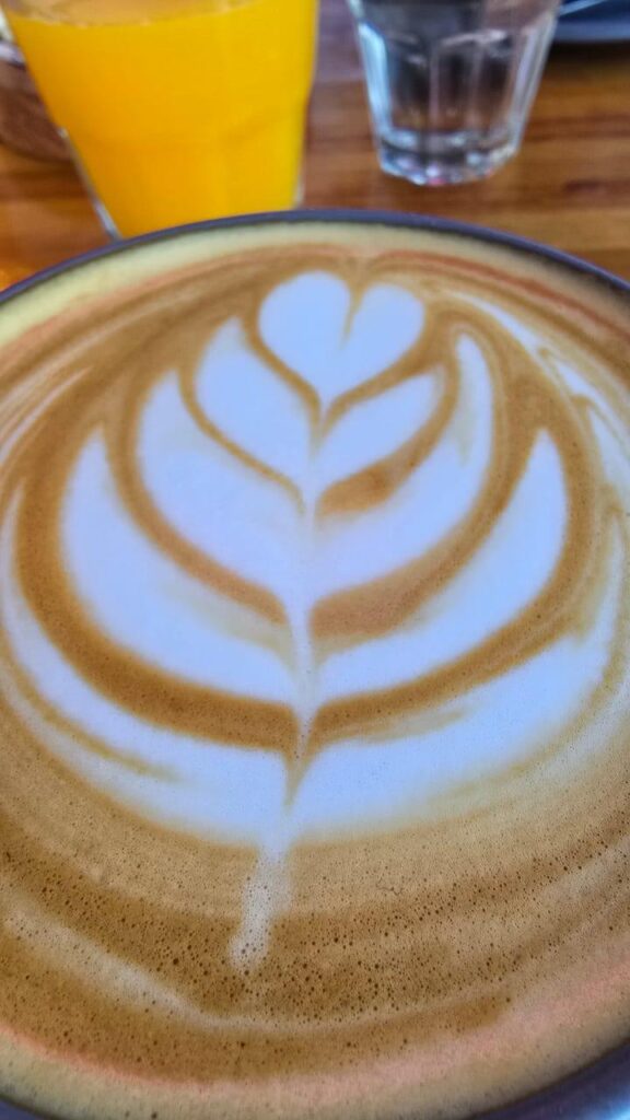 Coffee flower😌☕