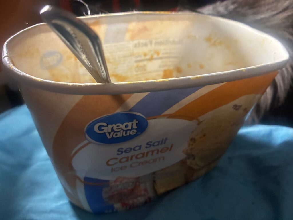 Times are Tough, We’re eating store brand Ice Cream. It is surprisingly amazing 🥲