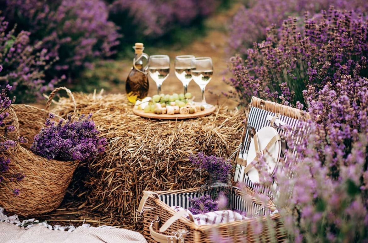 Picnic Perfect Pairings | Decanter Picnic baskets and wine outdoors