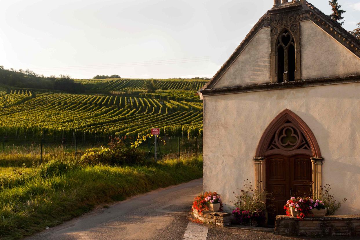 Credit: Photo by Gregory Pigot for Domaine Valentin Zusslin