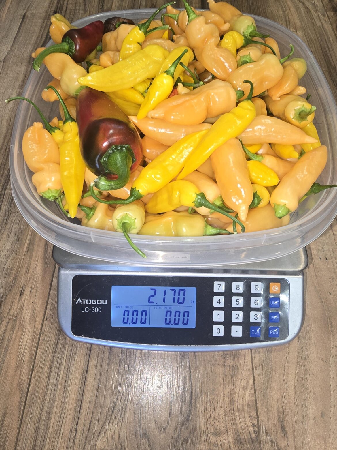 First Harvest