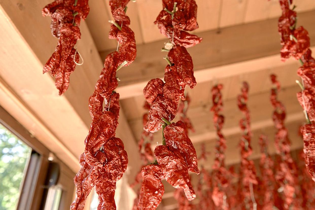 Credit: Anna Fedorova / Getty Images