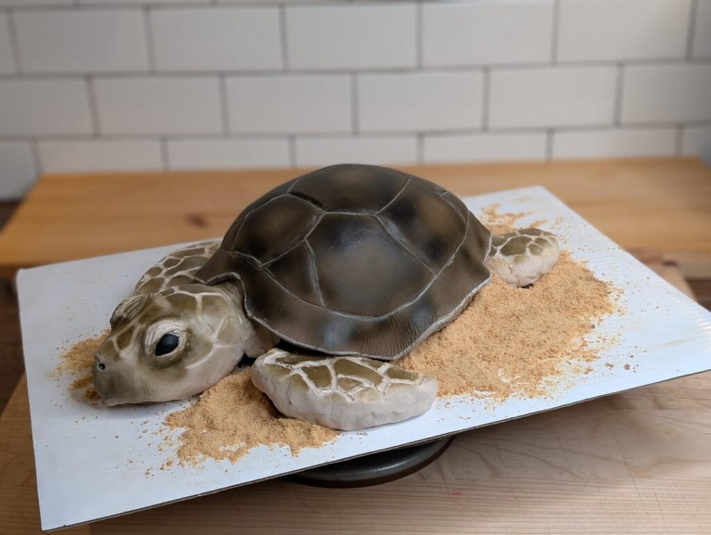 Sea Turtle Cake for a friend's son!