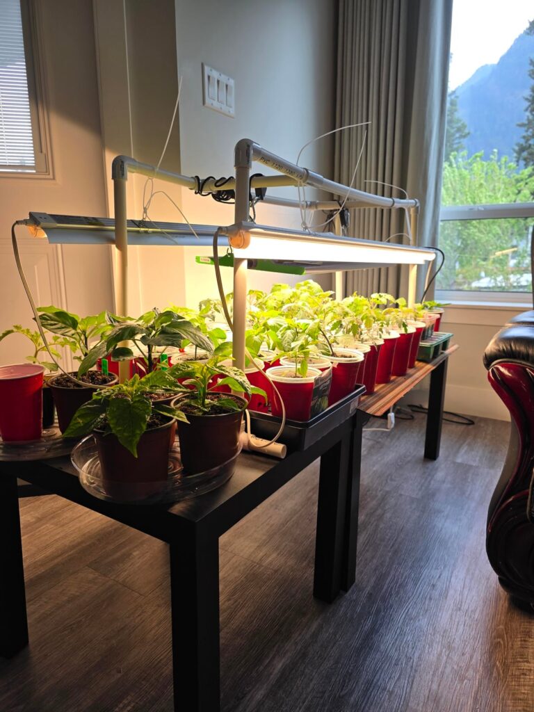 One Month Growth So Big