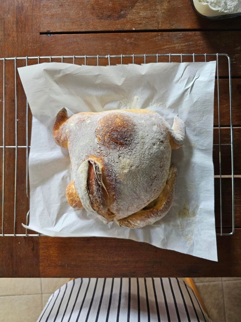 My sourdough "bunny"