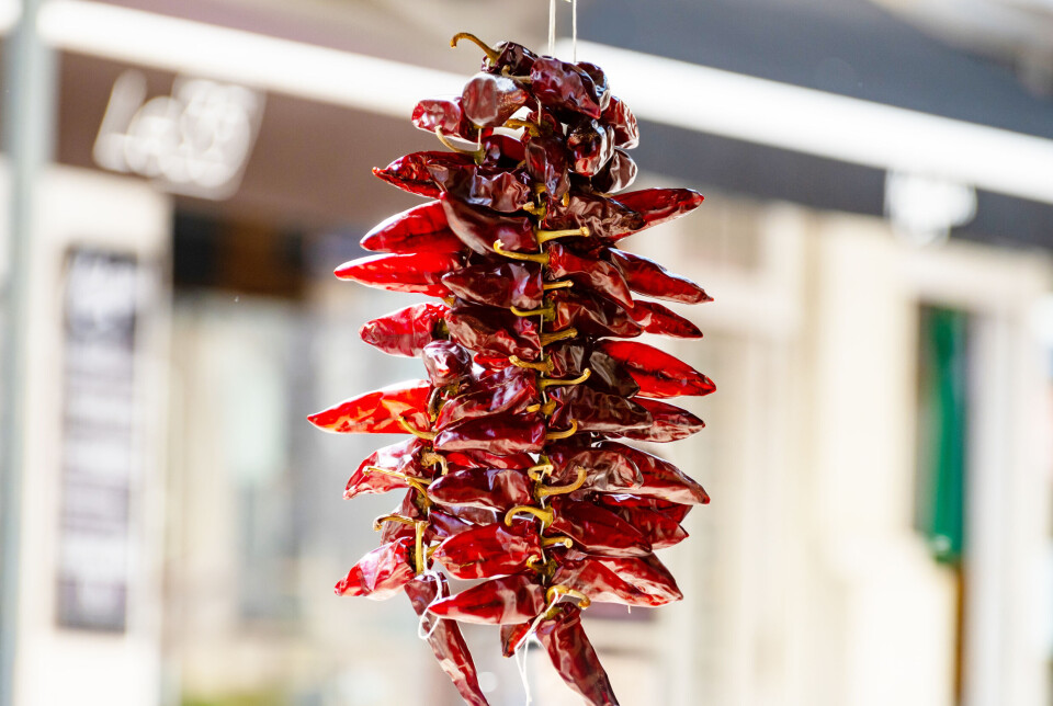 Piment d'Espelette, dried red hot chili peppers from Espelette village in Basque Country in mountains, France, condiment, french spice