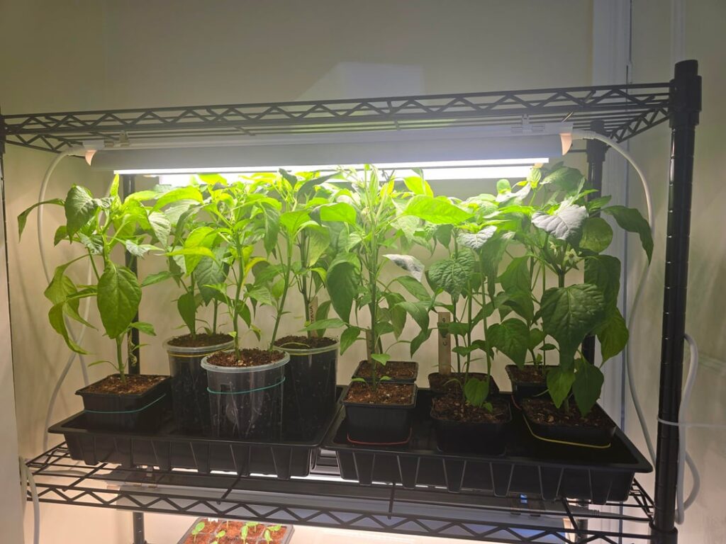 Ran out of vertical space