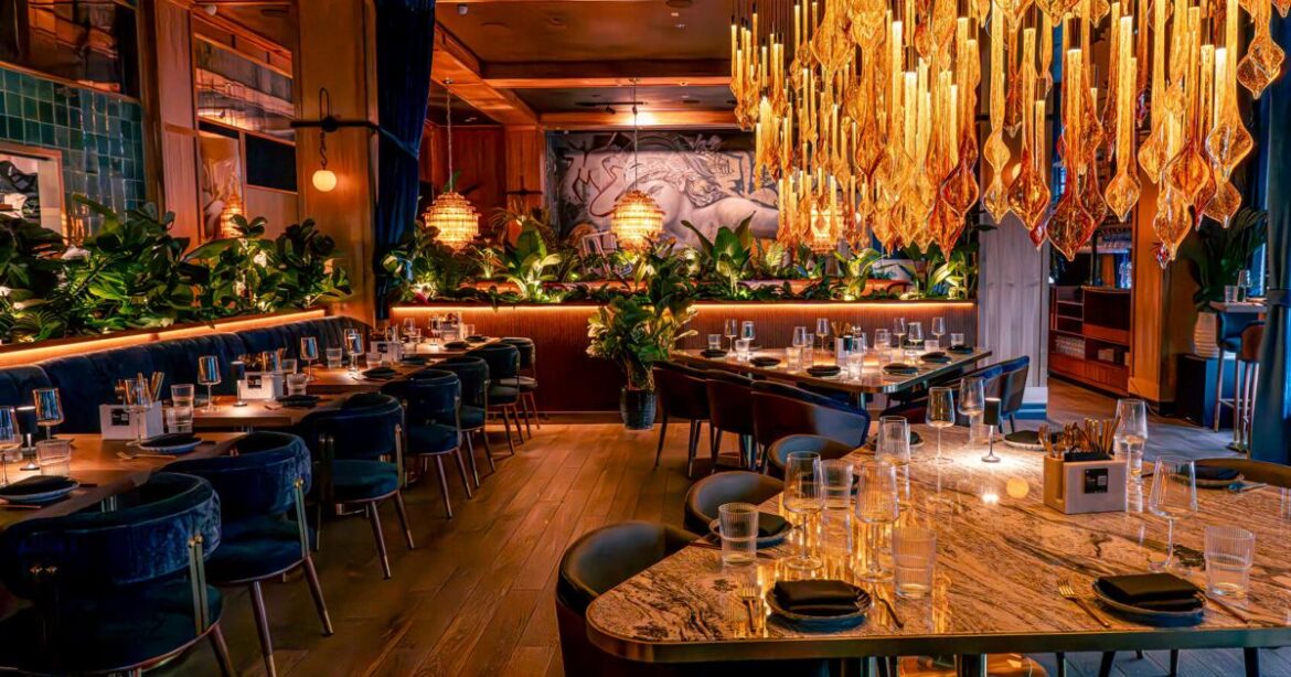 V Modern Italian Restaurant to open soon in Charleston, SC V Modern Italian Restaurant to open soon in Charleston, SC