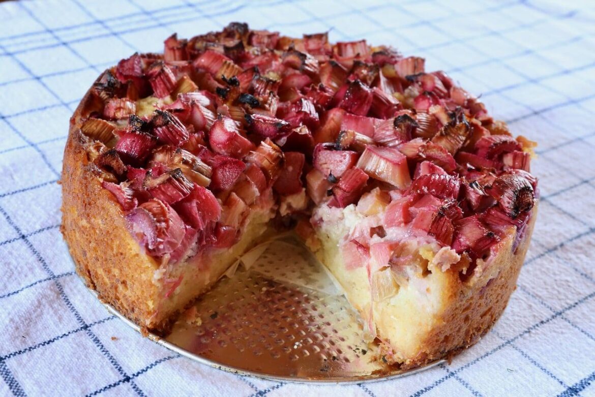 Rhubarb Cottage Cheese Cake