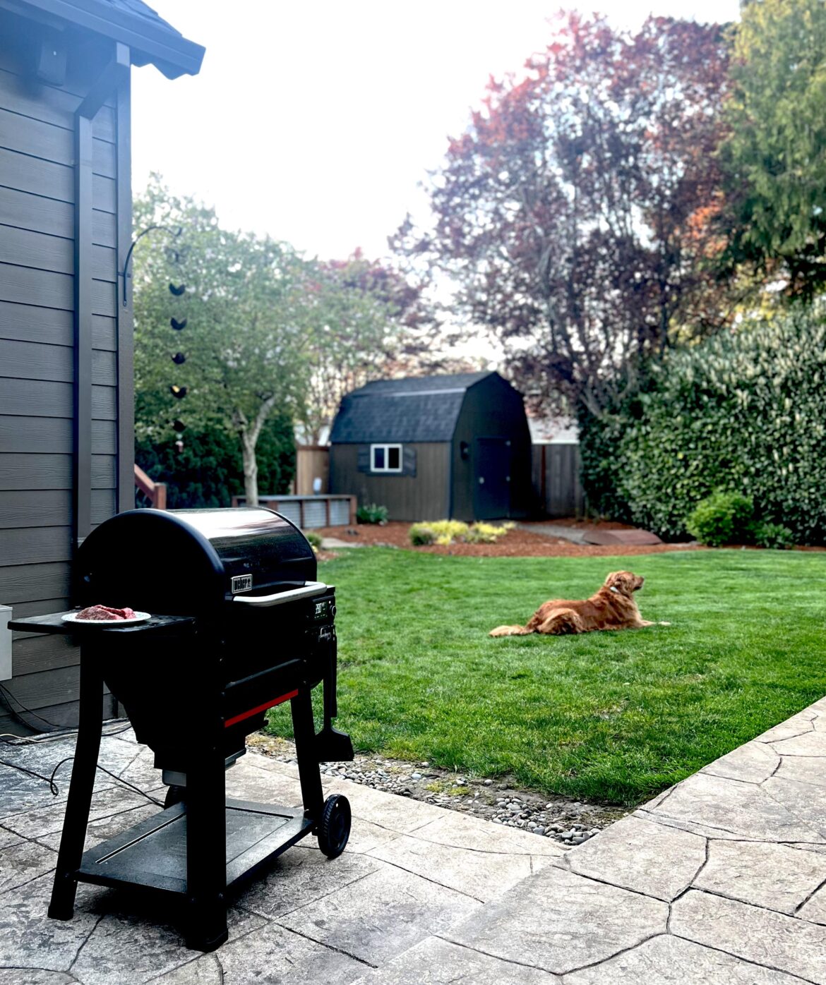 Going on year 2 with my searwood and couldn’t be happier!