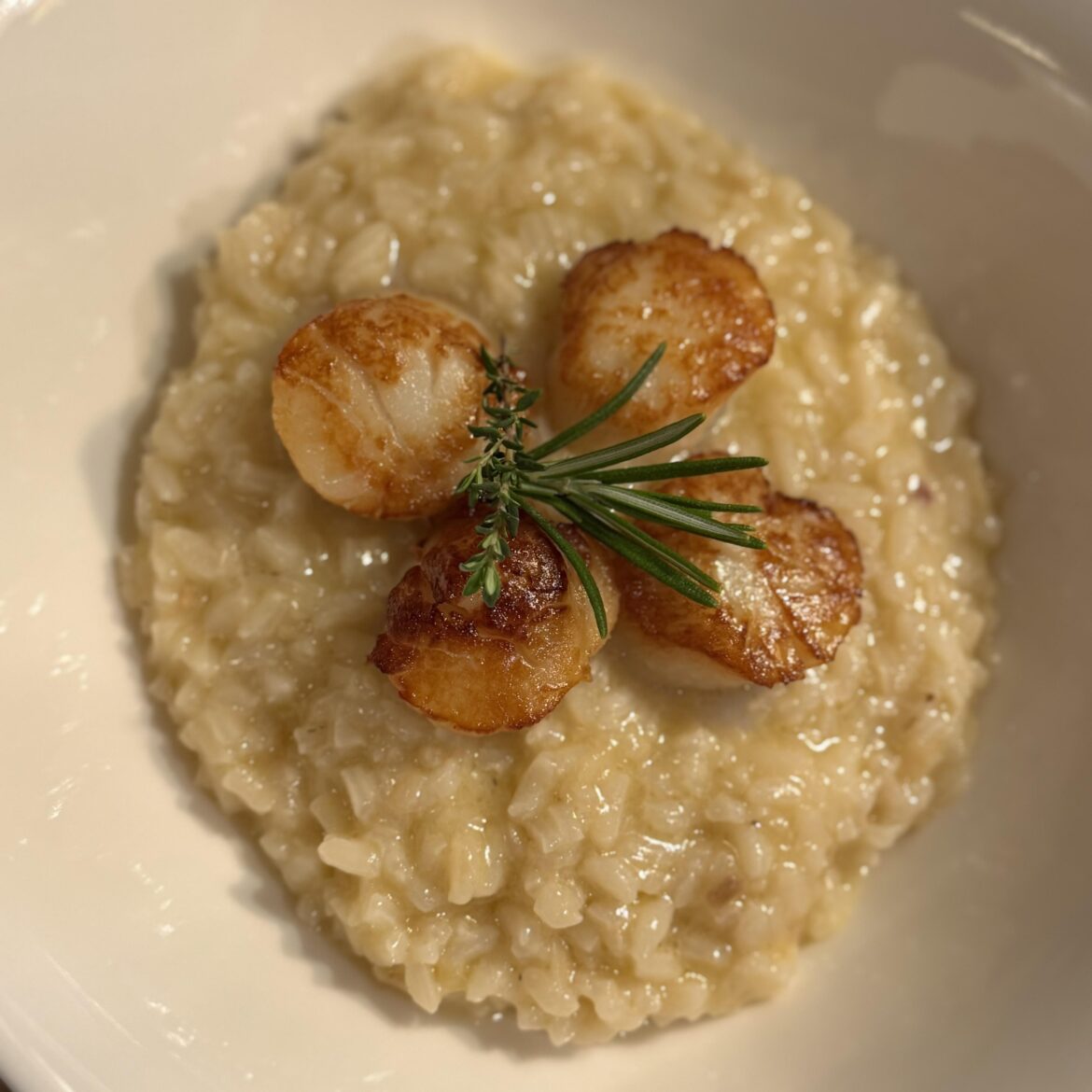 Risotto with scallops