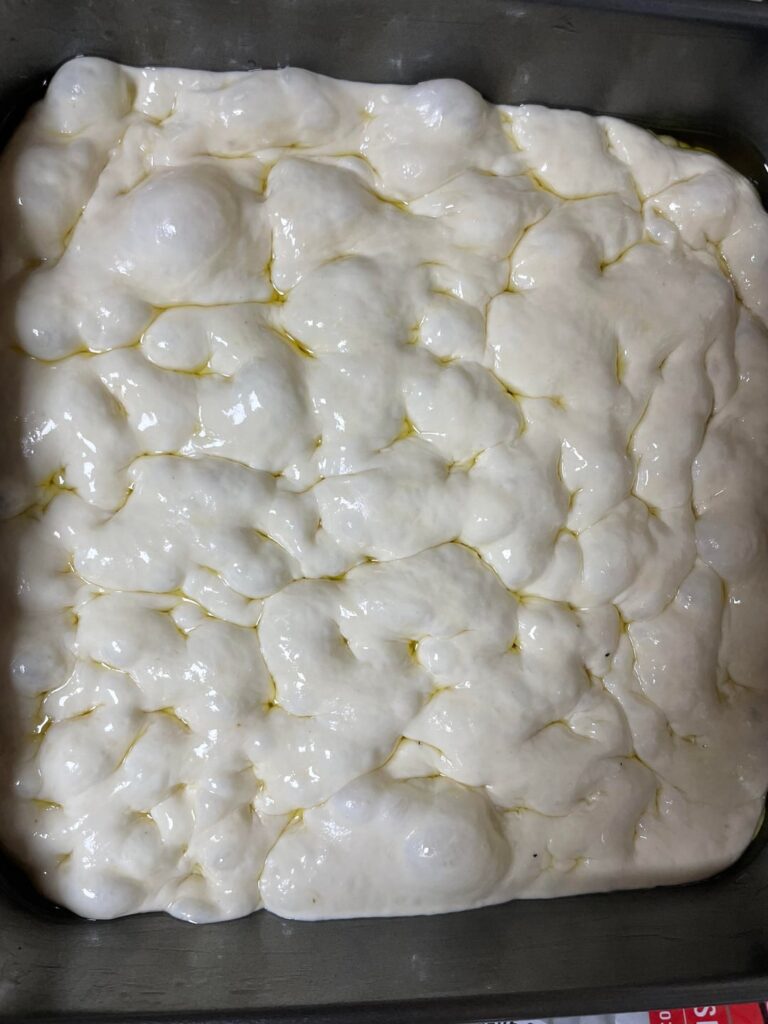 First time baking focaccia, how did I do?