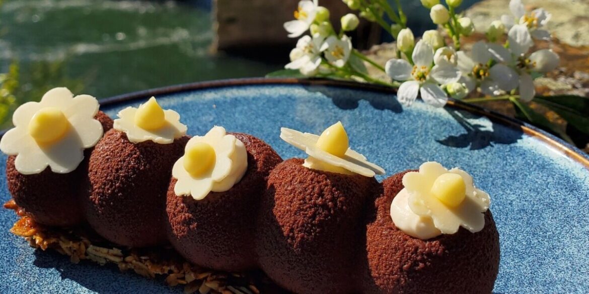 Donate blood in Albi and enjoy gourmet pastries from top chef Donate blood in Albi and enjoy gourmet pastries from top chef