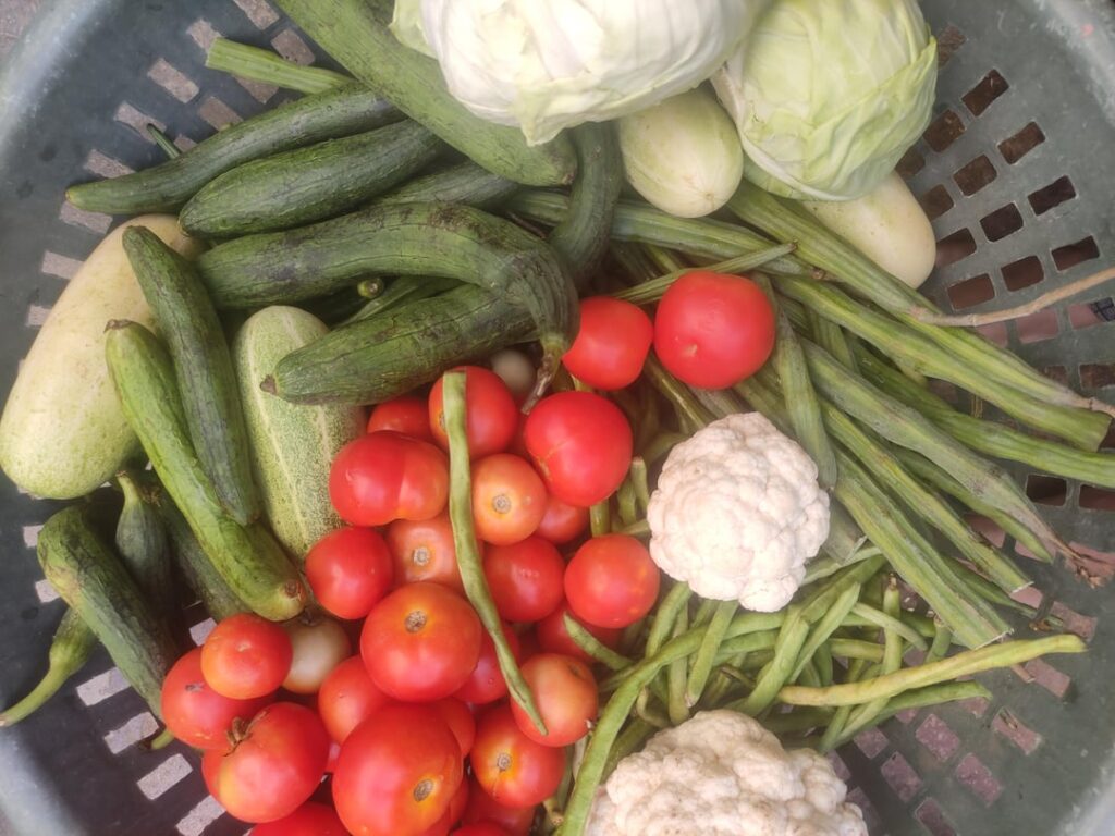 Hardwork pays off, happy with this harvest