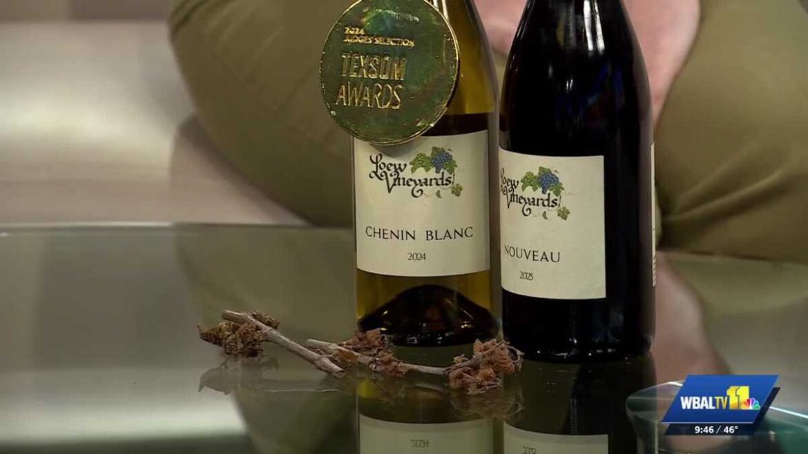 How to support Maryland vineyards after devastating crop losses