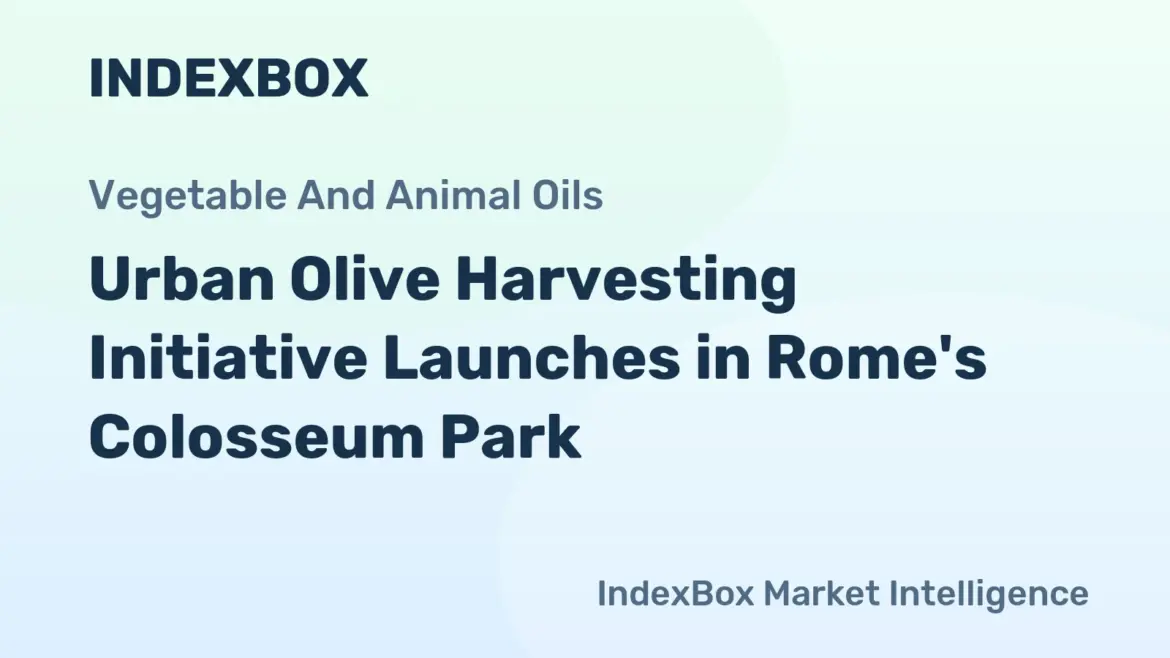 Rome's Urban Olive Harvest: Olio di Roma IGP Revives Agricultural Heritage - News and Statistics