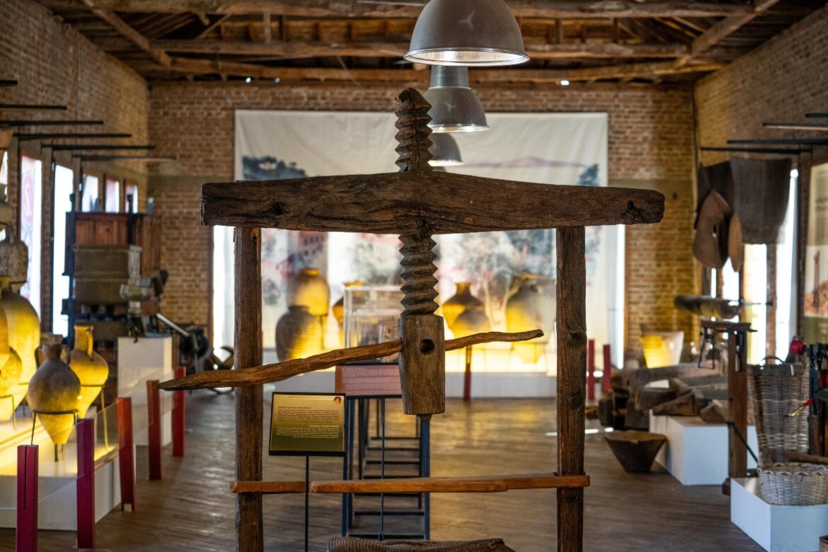 World's First Library Dedicated to Olive Oil