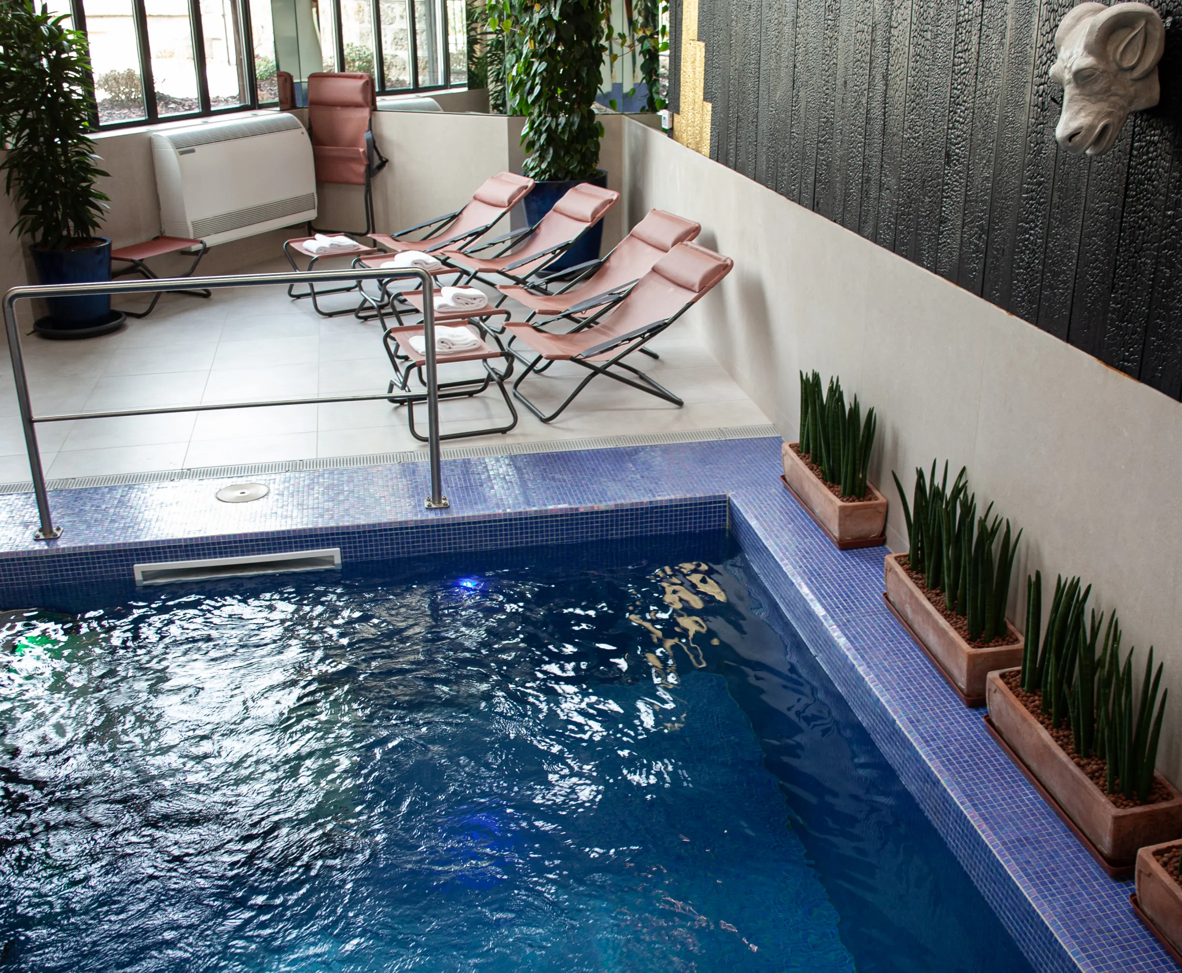 Indoor pool area with several lounge chairs with white towels, green plants, and a black textured wall.