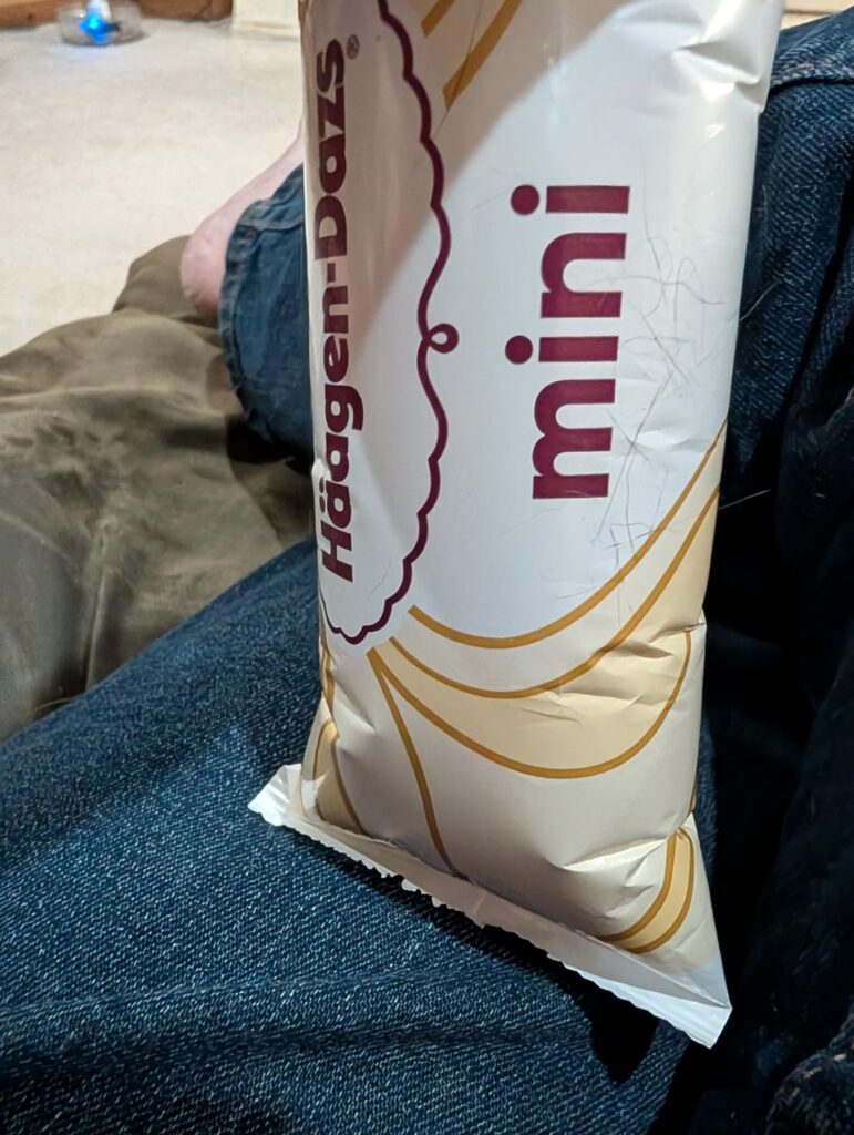 Hagen Daz Mini Question