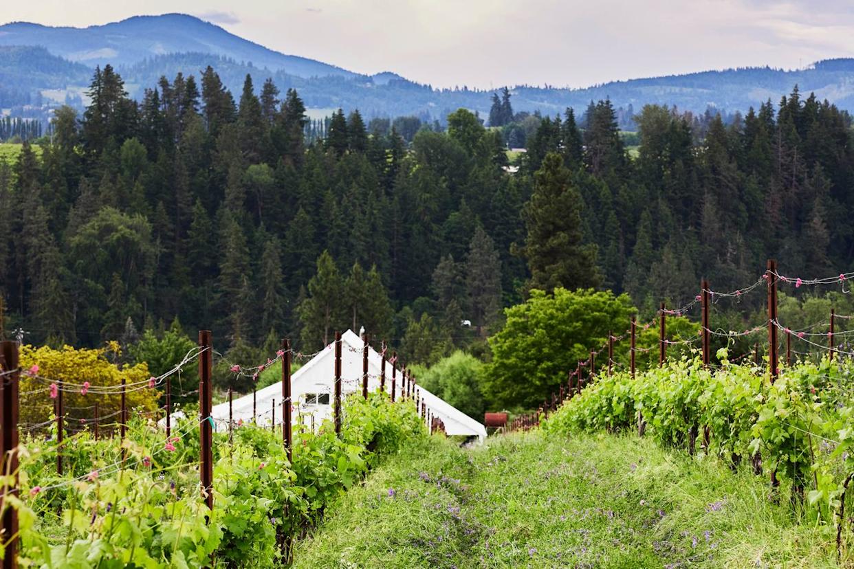 Credit: Photo by Eva Kolenko