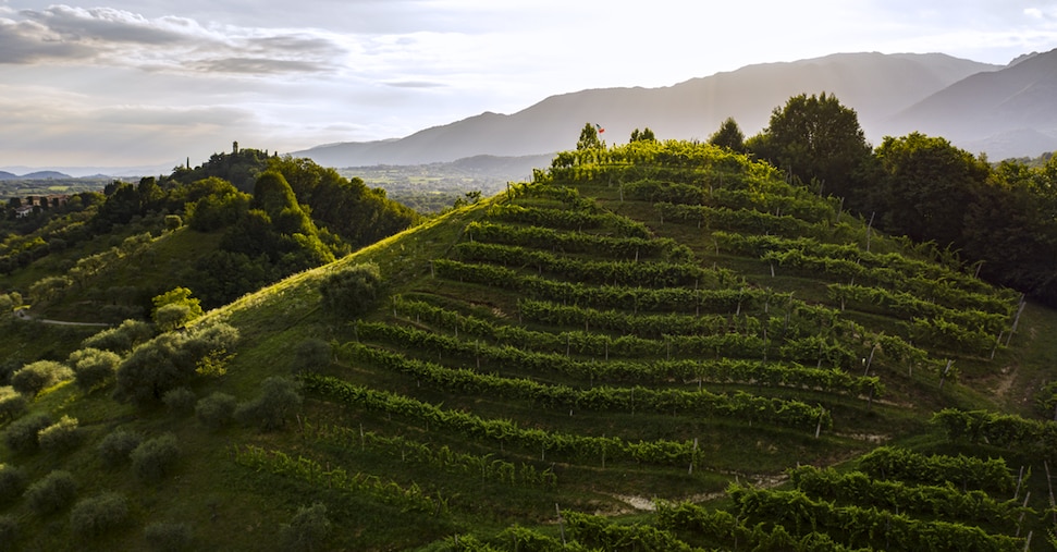 New export routes and roots in Europe: the anti-tariffs recipe for Italia wine Il Sole 24 Ore