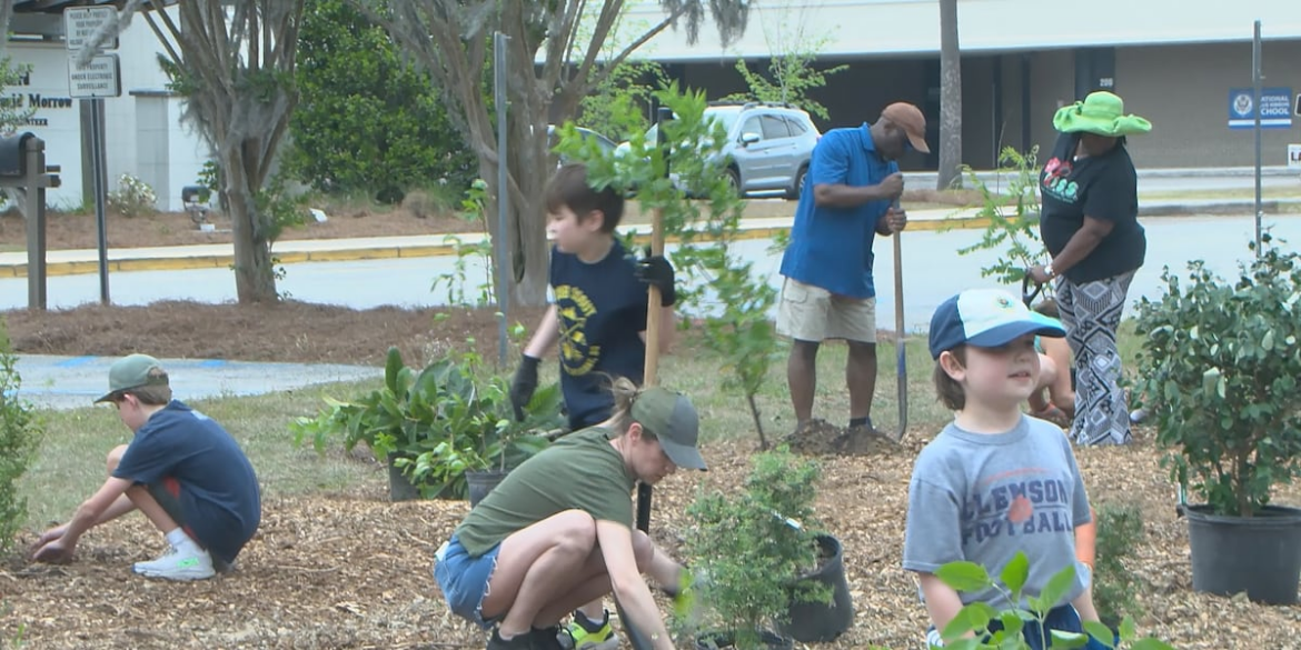 Community comes together as Mount Pleasant Food Forest takes root