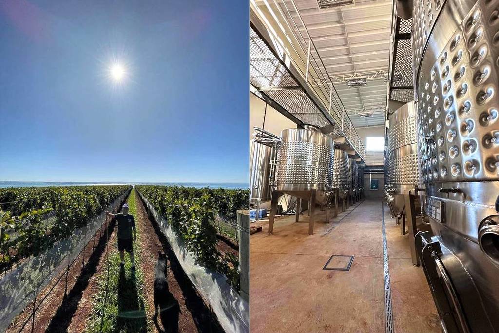 Casa Soncini Syrah Rosé 2024 wine winery interior sp award Vinalies Internationales