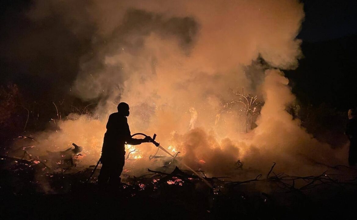 Tim James: Battling Franschhoek's fires and what comes next for its vineyards