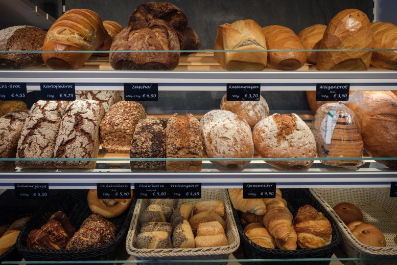 Freshly Baked Breads Bakery Store